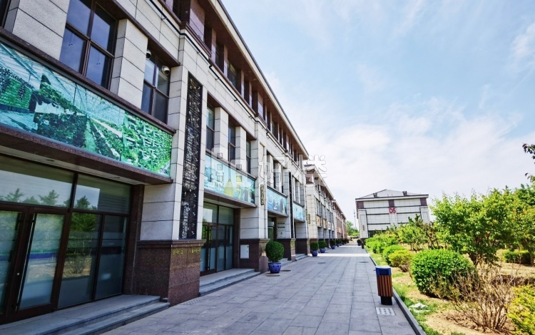 红庄国际文化保税创新园